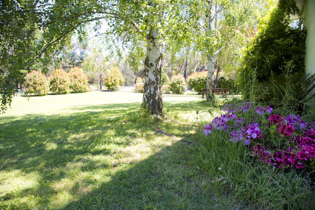 Black Forest Motel Macedon Exterior photo